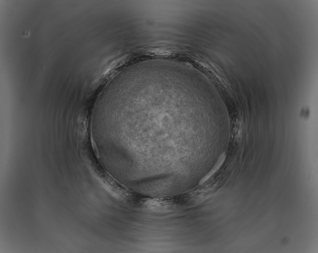 X0000090730568200708031526