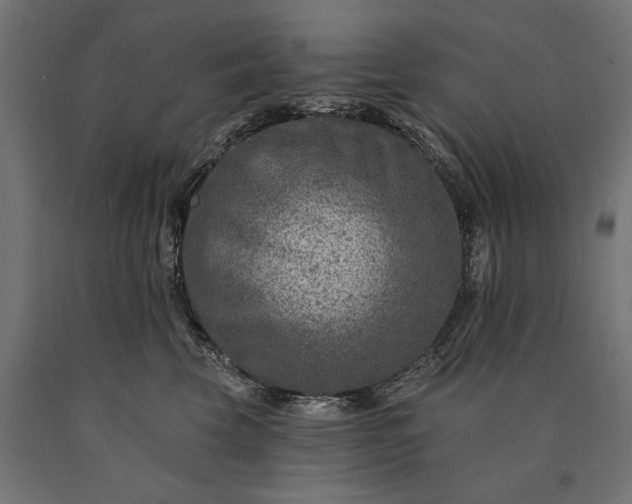 X0000090730569200708031526