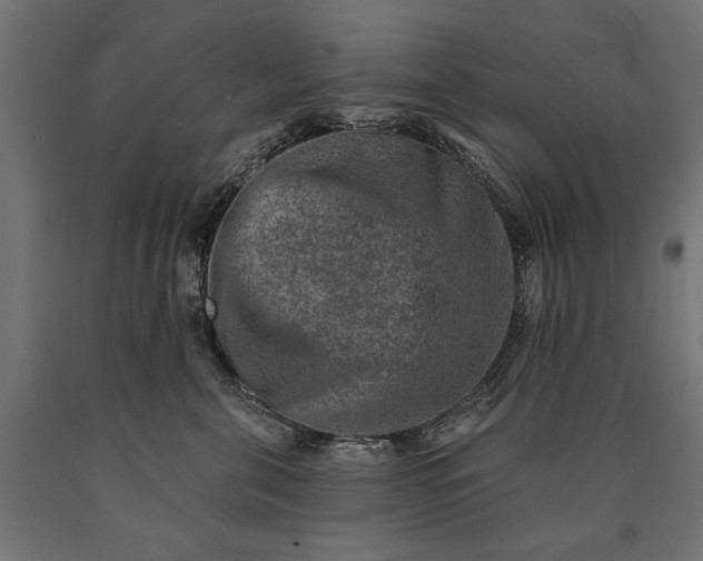 X0000090730571200708031526