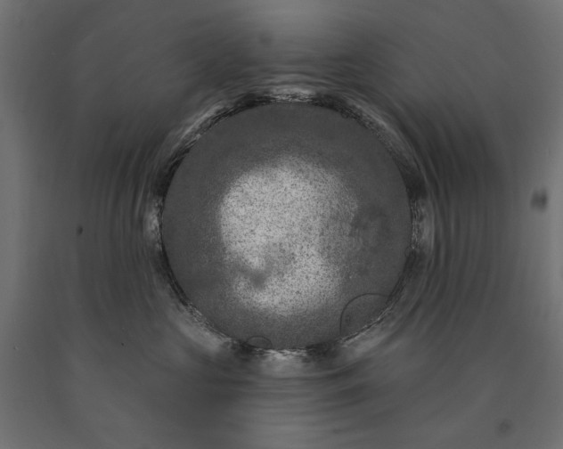 X0000090730573200708031526