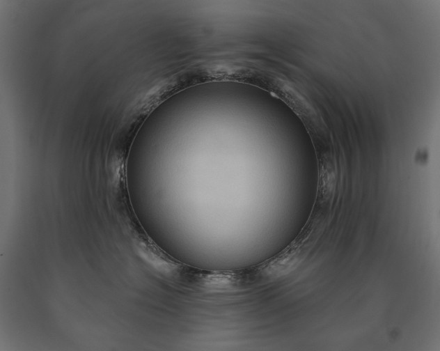 X0000090730574200708031526