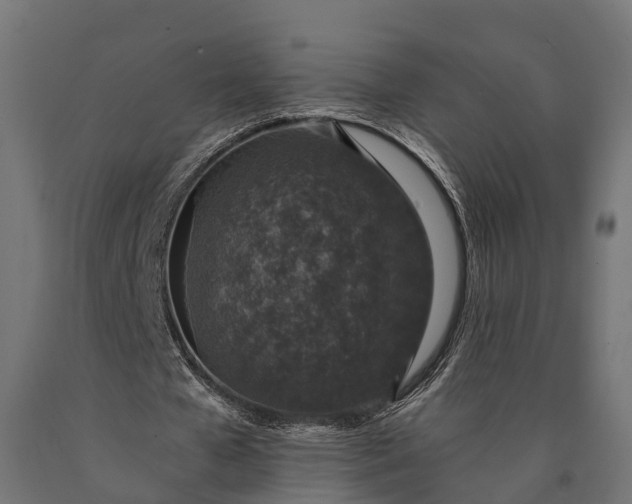 X0000090730577200708031525