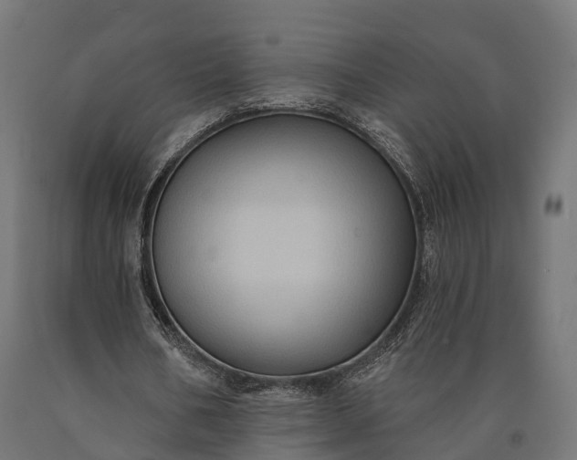 X0000090730578200708031525