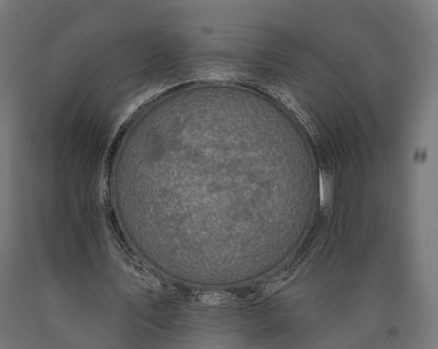 X0000090730579200708031525