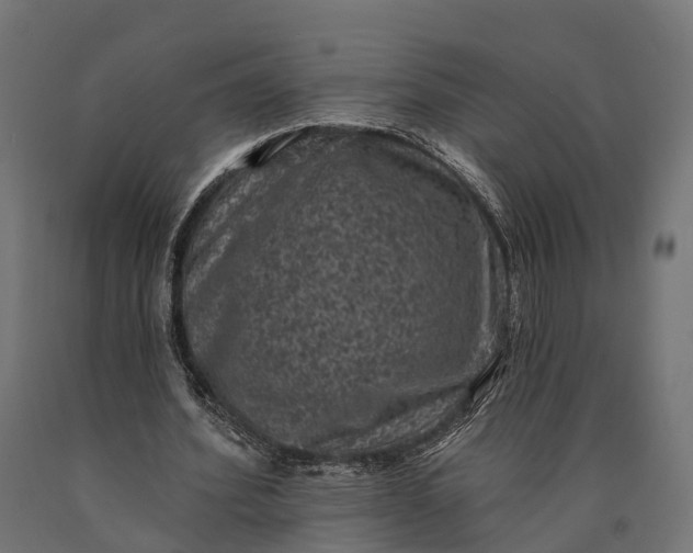 X0000090730580200708031525