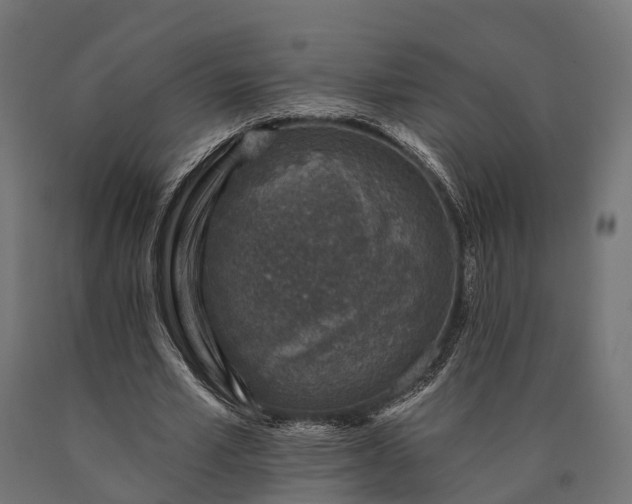 X0000090730581200708031525