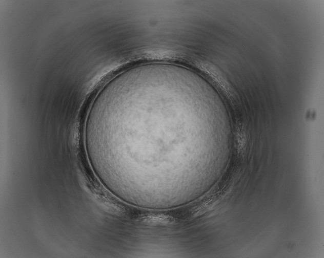 X0000090730583200708031525