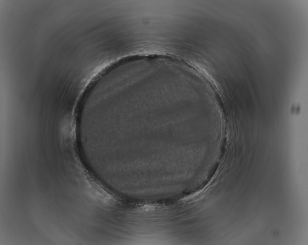 X0000090730584200708031525