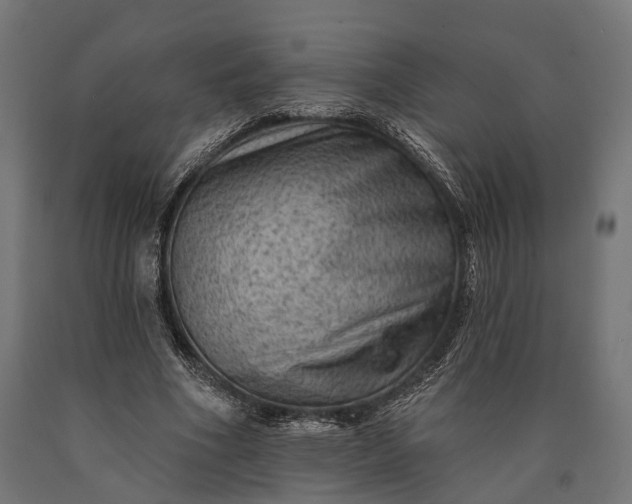 X0000090730586200708031525