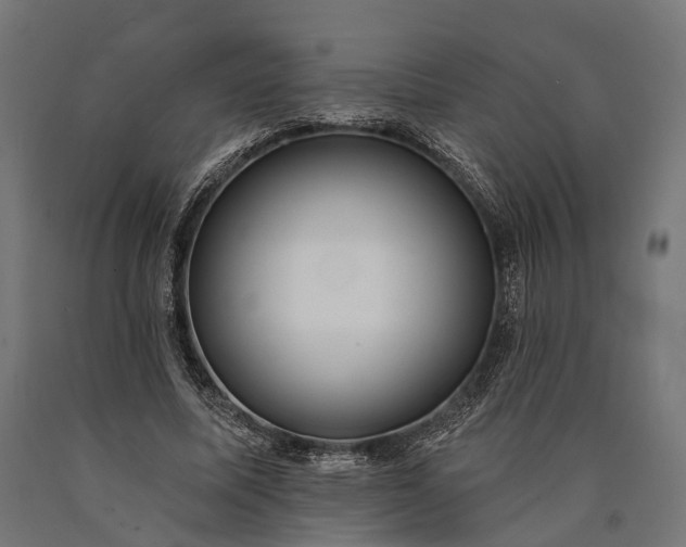 X0000090730587200708031525