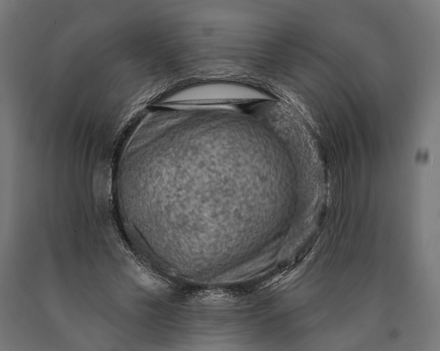 X0000090730589200708031525