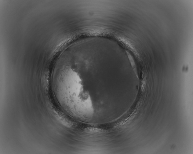 X0000090730590200708031525