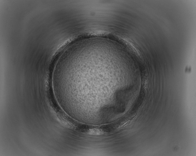 X0000090730591200708031525