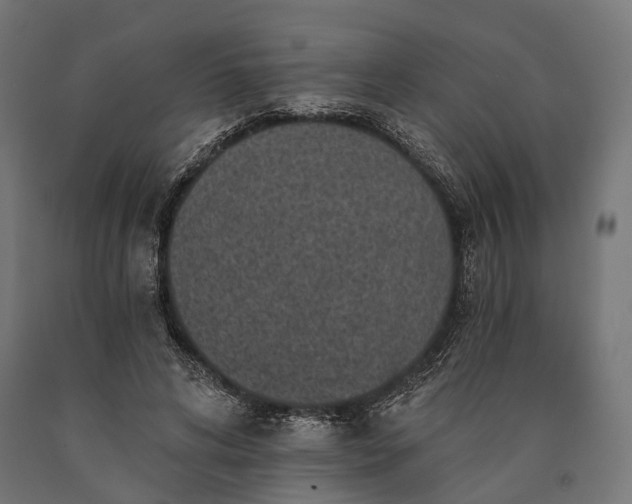 X0000090730592200708031525