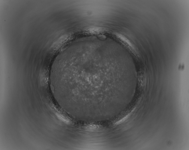 X0000090730593200708031525