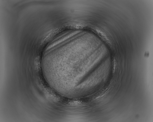 X0000090730594200708031525