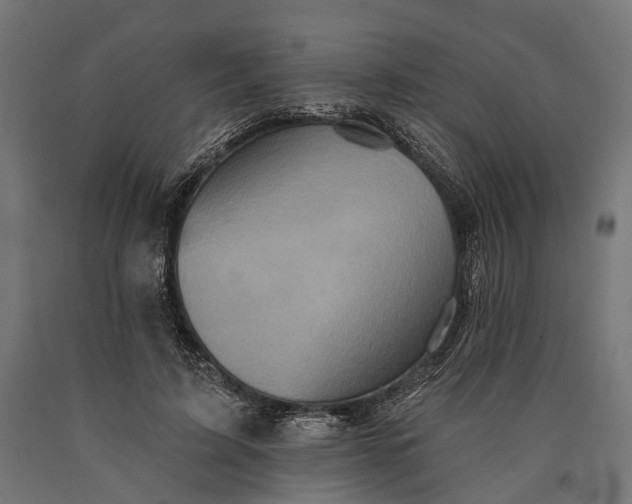 X0000090730595200708031525