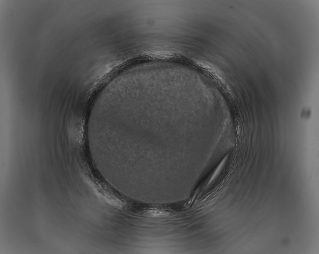 X0000090730596200708031525