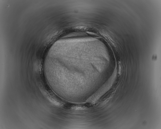 X0000090730597200708031525