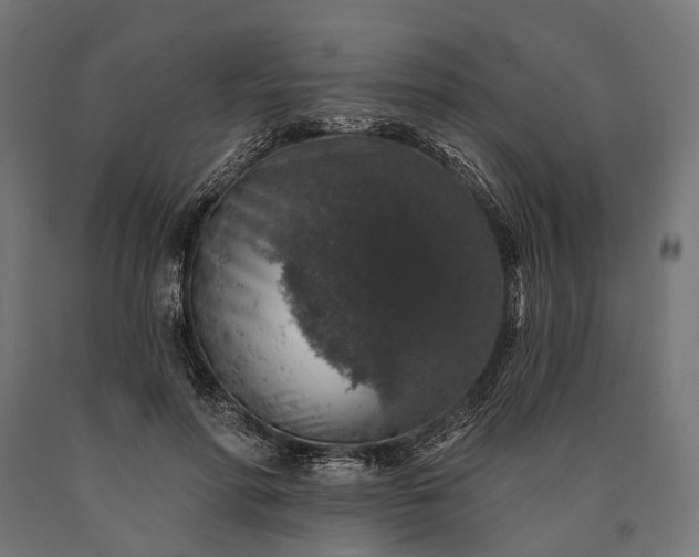 X0000090730598200708031525