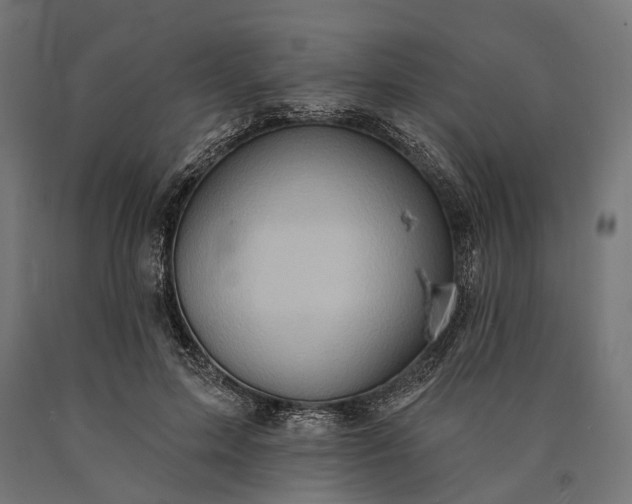 X0000090730599200708031525