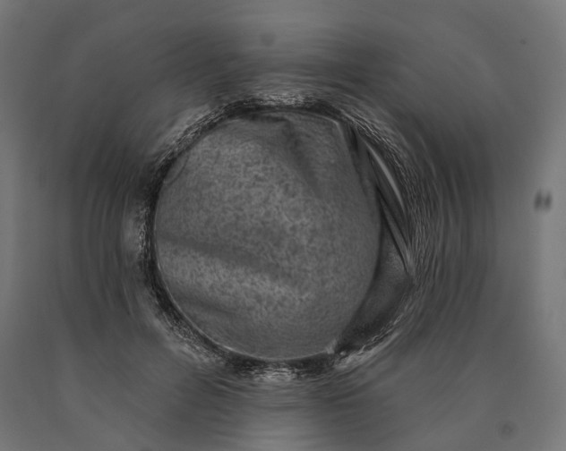 X0000090730600200708031525