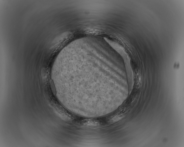 X0000090730601200708031525