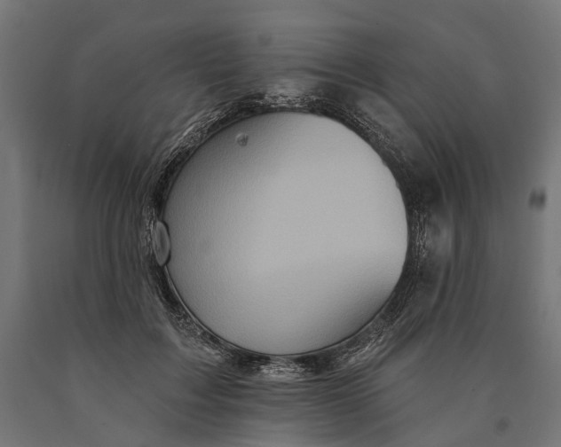 X0000090730603200708031525