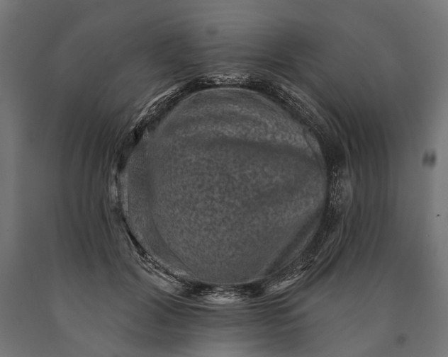 X0000090730604200708031525