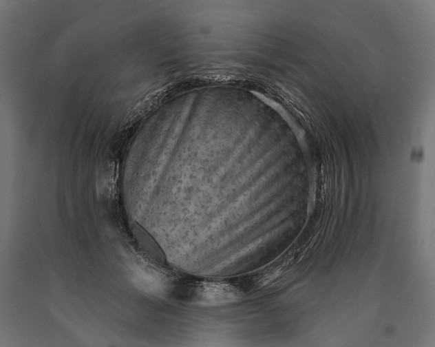 X0000090730605200708031525