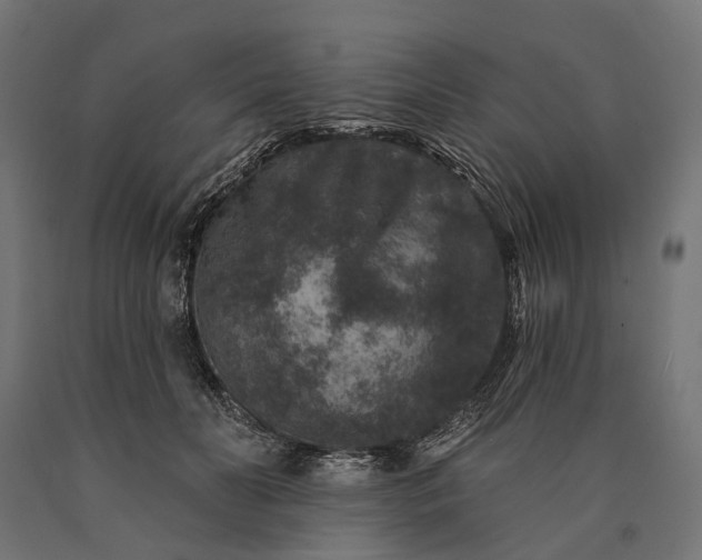 X0000090730606200708031525