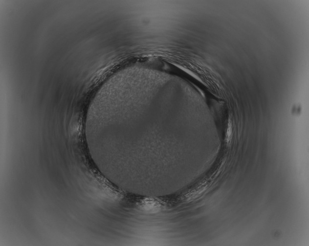 X0000090730608200708031525