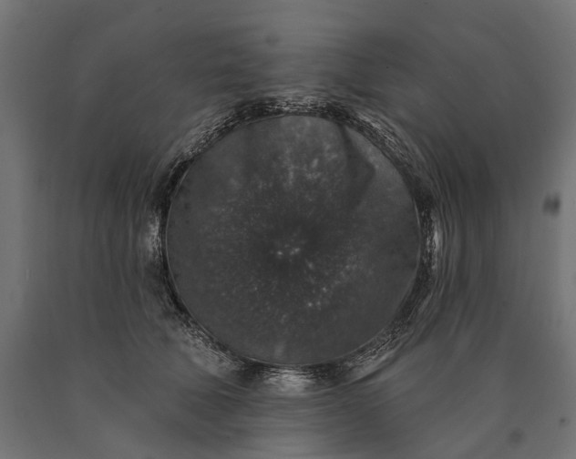 X0000090730610200708031525