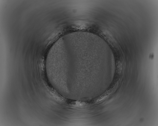 X0000090730612200708031525