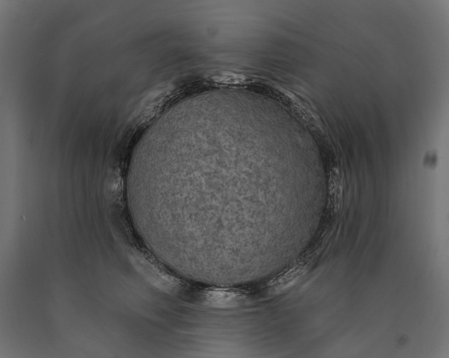 X0000090730614200708031525