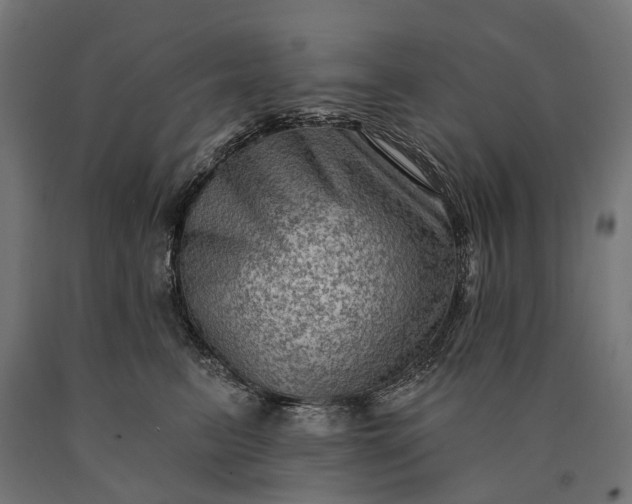 X0000090730615200708031525