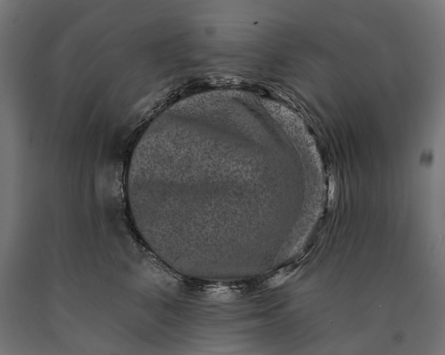 X0000090730616200708031525