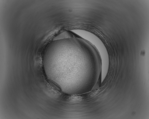 X0000090730617200708031525