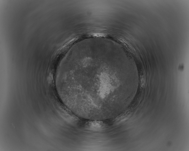 X0000090730618200708031525