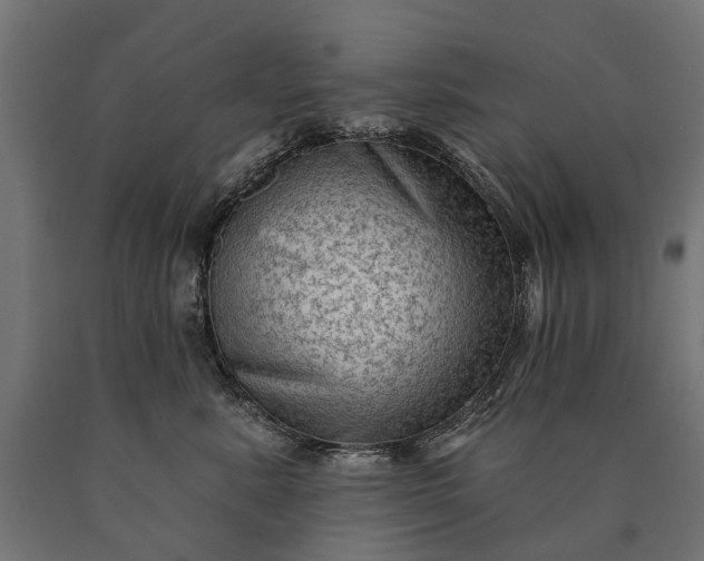 X0000090730619200708031525