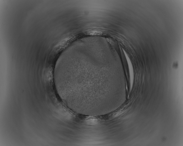 X0000090730620200708031525