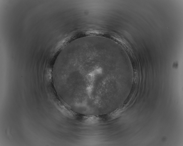 X0000090730621200708031525