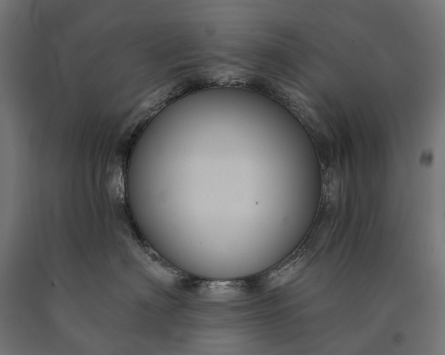 X0000090730622200708031525