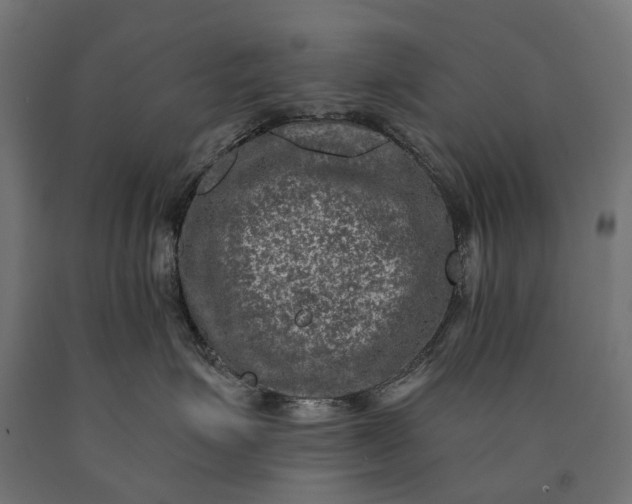 X0000090730623200708031525