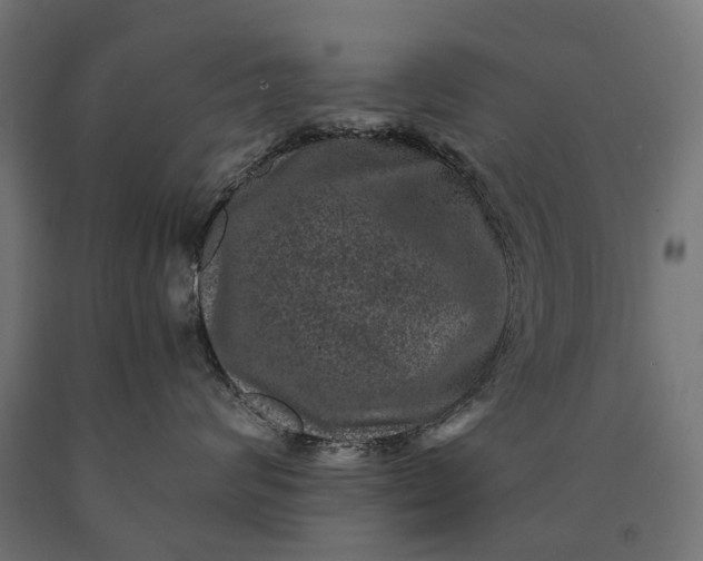 X0000090730624200708031524