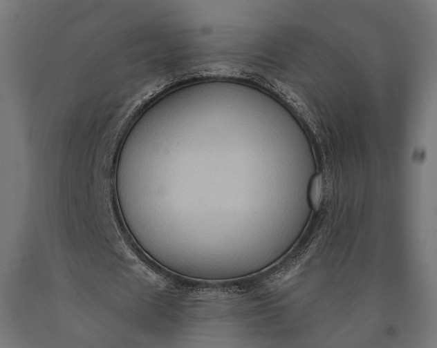 X0000090730625200708031524