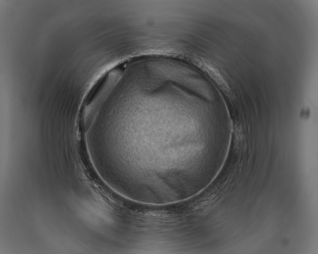 X0000090730628200708031524