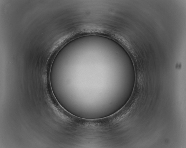 X0000090730629200708031524