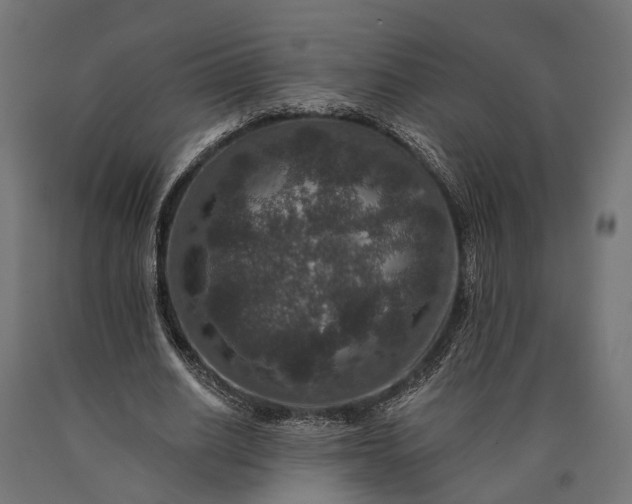 X0000090730630200708031524