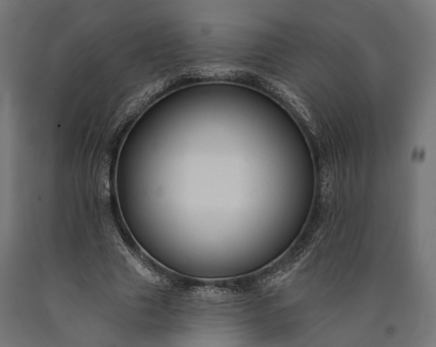 X0000090730633200708031524